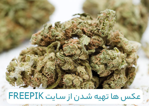 عکس ماریجوانا ستیبا